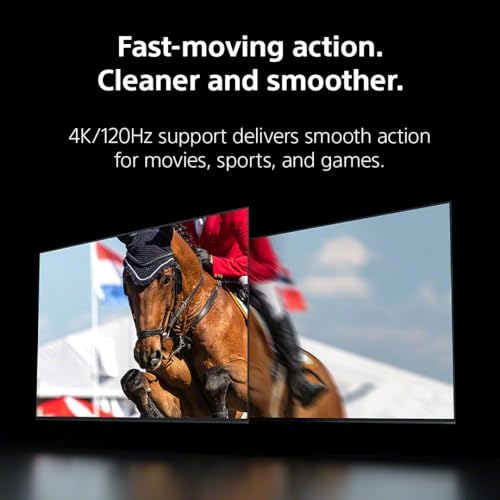 Sony 65" LED TV