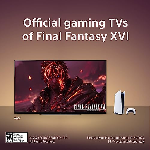 Sony 48" XR-48A90K OLED TV