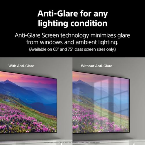 Sony 65" LED TV