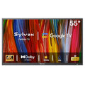 SYLVOX 55" Outdoor TV